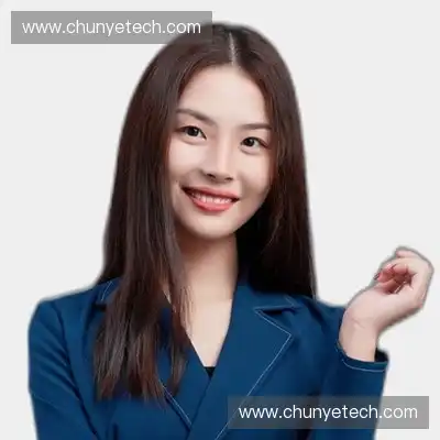白鹏辉